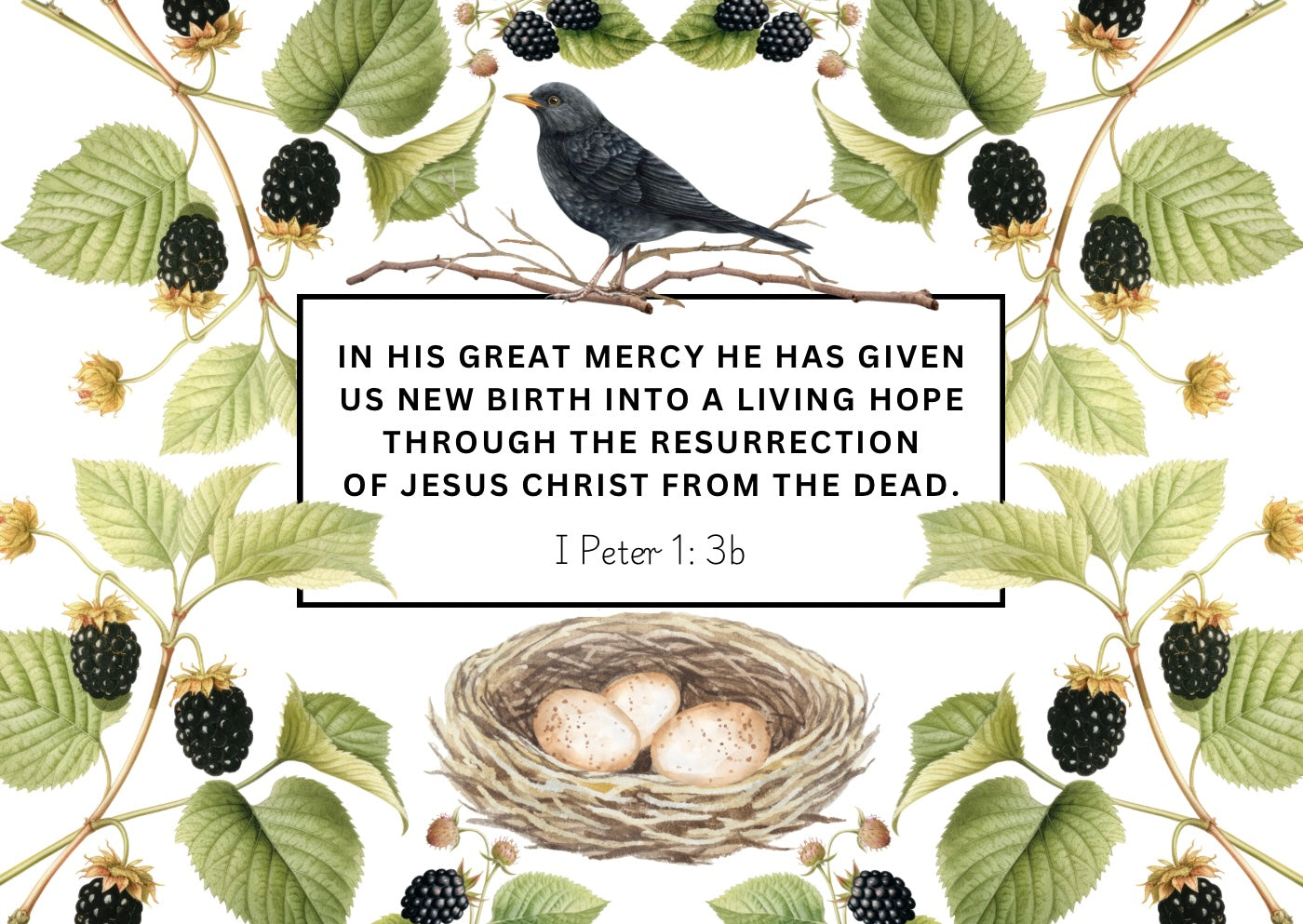 Scripture Stationery